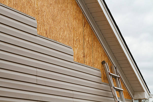 Professional Siding Inspection technician working in Stoughton, MA